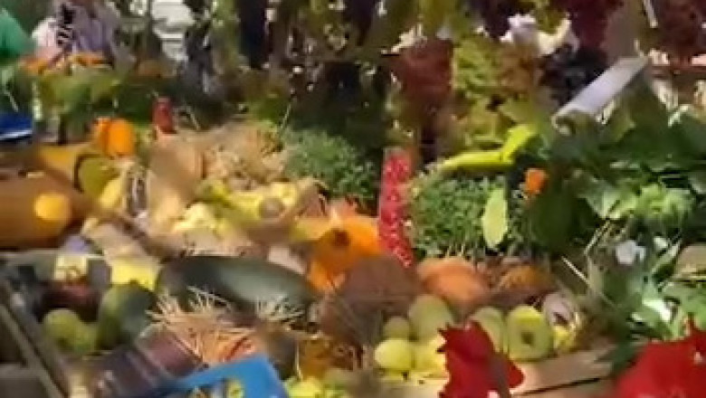 The Great Giant Fruit & Veggie Showdown: When Produce Goes XXL!